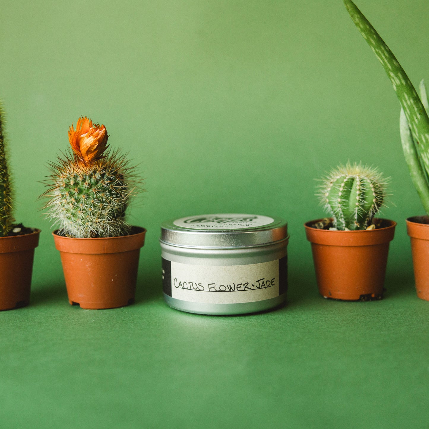 Cactus Flower & Jade | Crackling Wood Wick Soy Candle